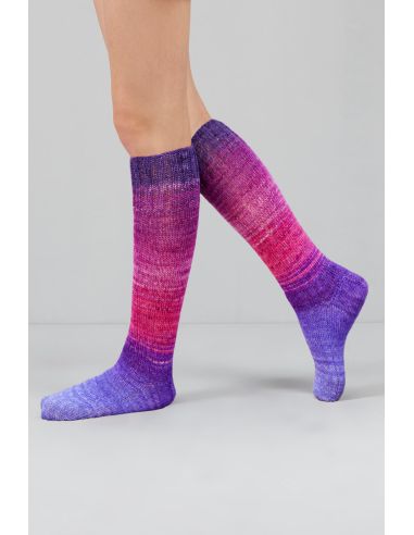 Conjunto de 2 madejas de lana para calcetines Echoes Fingering Gusto Wool