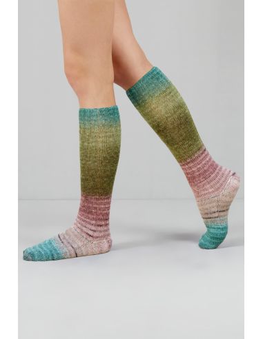 Conjunto de 2 madejas de lana para calcetines Echoes Fingering Gusto Wool