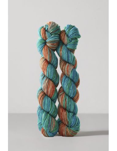 Conjunto de 2 madejas de lana para calcetines Echoes Fingering Gusto Wool