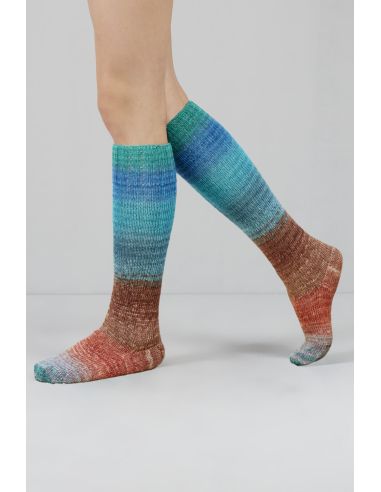 Conjunto de 2 madejas de lana para calcetines Echoes Fingering Gusto Wool