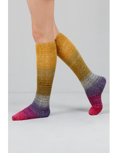 Conjunto de 2 madejas de lana para calcetines Echoes Fingering Gusto Wool