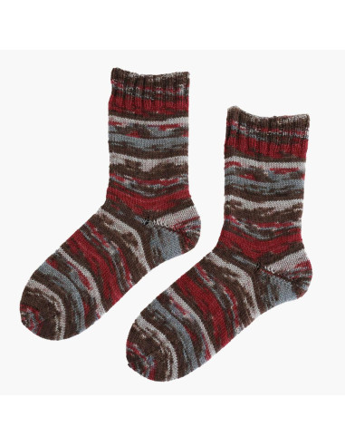 Laine à chaussette Soqs & More 4 fils Arne & Carlos