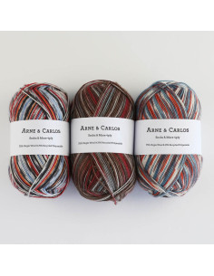 Lana para calcetines Soqs & More 4 hilos Arne & Carlos
