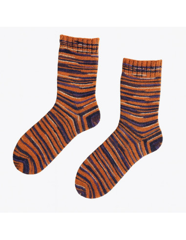Laine à chaussette Soqs & More 4 fils Arne & Carlos