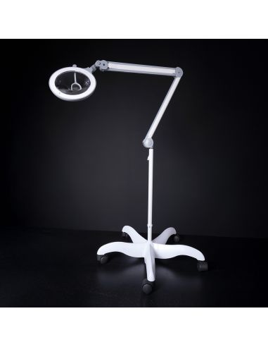 Base con ruedas blanco prestigio Daylight