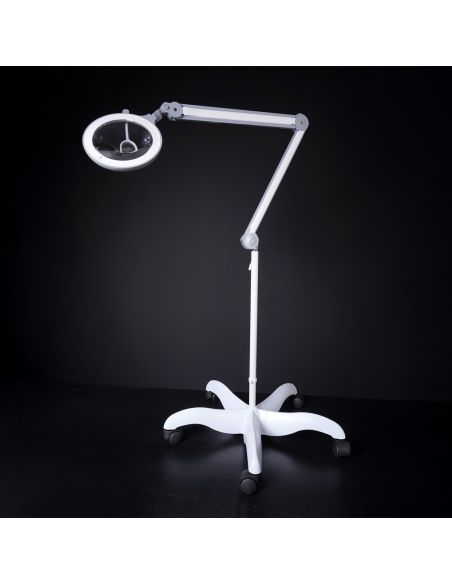 Base con ruedas blanco prestigio Daylight