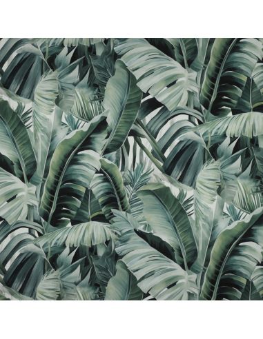 Lienzo de algodón - Tropical
