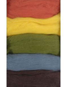 Paquete de 5 lanas cardadas para fieltrar DMC - Otoño 2