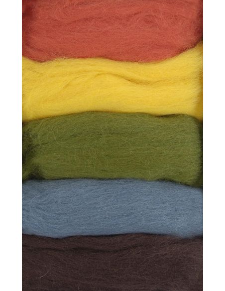 Paquete de 5 lanas cardadas para fieltrar DMC - Otoño