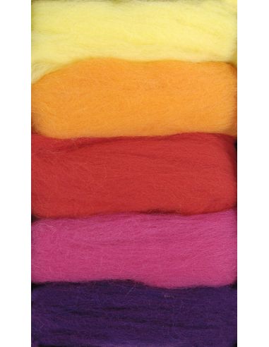 Pack de 5 lanas cardadas para fieltrar DMC - Vitamina