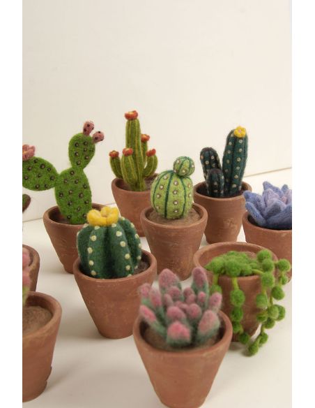 Catálogo de fieltro DMC - Cactus y suculentas