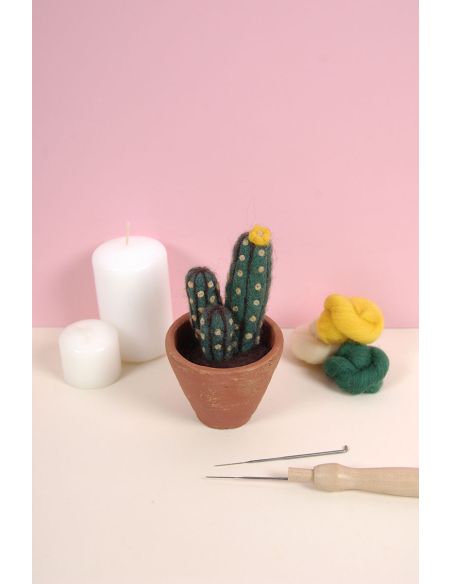 Catálogo de fieltro DMC - Cactus y suculentas
