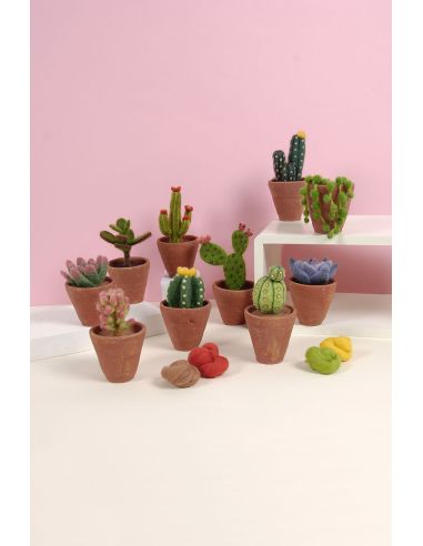 Catálogo de fieltro DMC - Cactus y suculentas