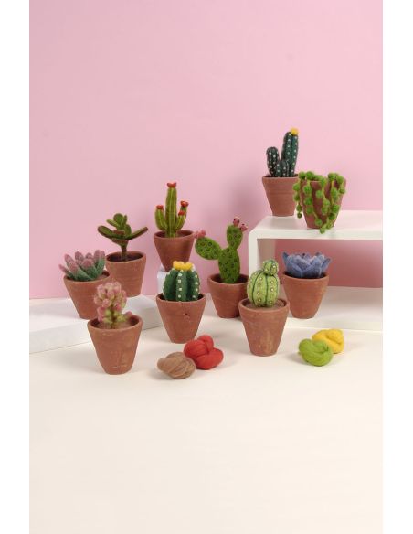 Catálogo de fieltro DMC - Cactus y suculentas
