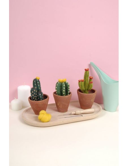 Catálogo de fieltro DMC - Cactus y suculentas