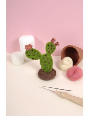 Catálogo de fieltro DMC - Cactus y suculentas