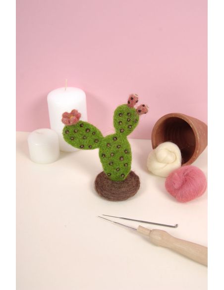 Catálogo de fieltro DMC - Cactus y suculentas