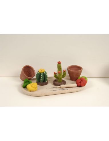 Catálogo de fieltro DMC - Cactus y suculentas
