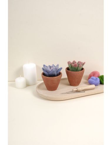 Catálogo de fieltro DMC - Cactus y suculentas