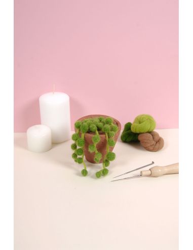 Catálogo de fieltro DMC - Cactus y suculentas