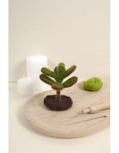 Catálogo de fieltro DMC - Cactus y suculentas