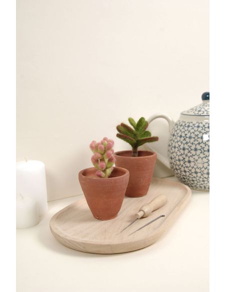 Catálogo de fieltro DMC - Cactus y suculentas