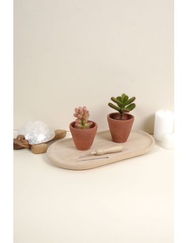 Catálogo de fieltro DMC - Cactus y suculentas