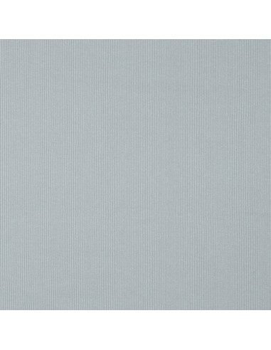 Tejido de punto jersey de algodón fino acanalado - Gris plateado