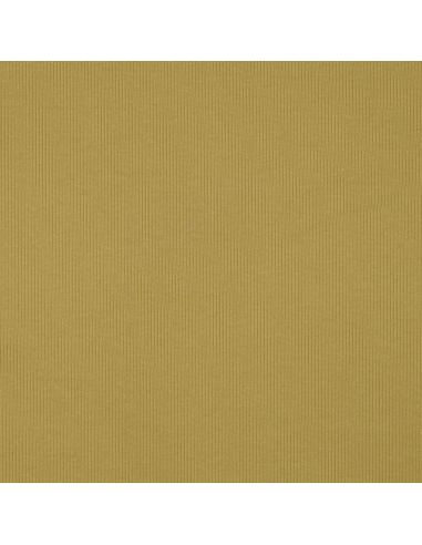 Tejido de punto fino de algodón acanalado - Ocre