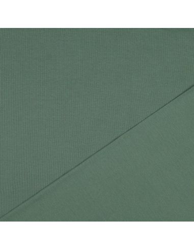 Tejido de punto fino de algodón acanalado - Verde