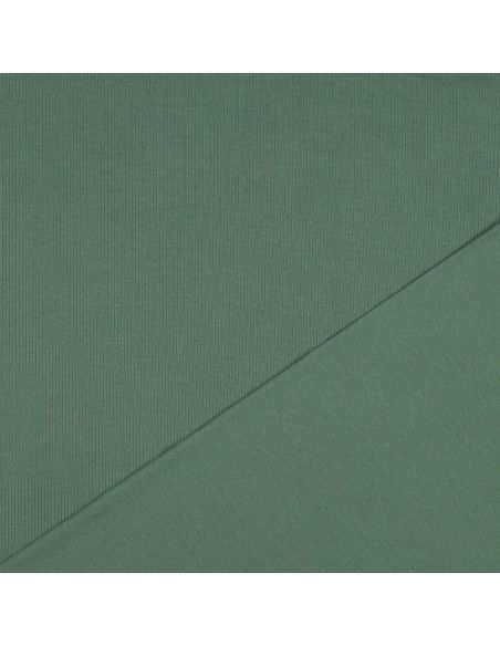 Tejido de punto fino de algodón acanalado - Verde