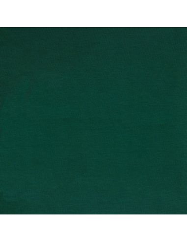Tejido de jersey tencel modal - Verde