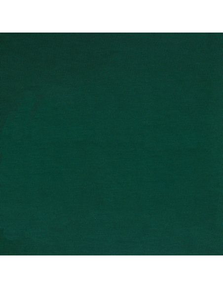 Tejido de jersey tencel modal - Verde