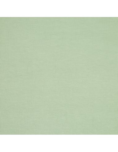 Tejido de punto tencel modal - Verde menta