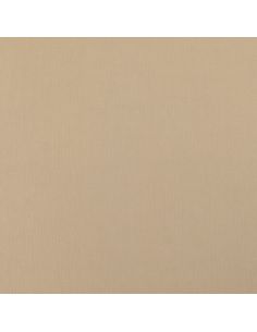 Tejido Scuba efecto piel de melocotón - Beige 2