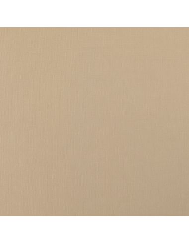Tejido Scuba efecto piel de melocotón - Beige