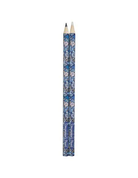 Tiza de crayón negro y blanco - Colección flores azules
