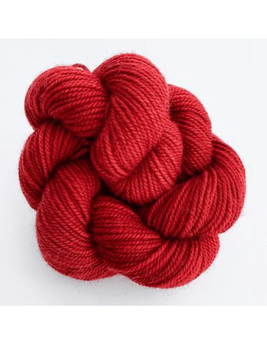 Laine New Carikai Minis YKTL