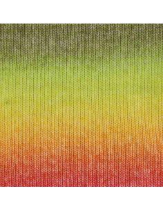 Laine Scheepjes Stone Washed Flow 2