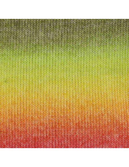 Laine Scheepjes Stone Washed Flow