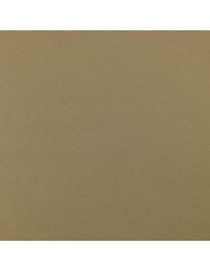 Tejido Scuba efecto piel de melocotón - Beige 2