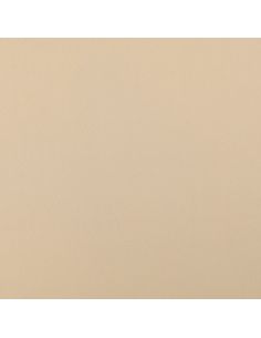 Tejido Scuba efecto piel de melocotón - Beige 2