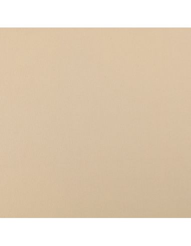 Tejido Scuba efecto piel de melocotón - Beige